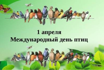 Международный день птиц 1 апреля